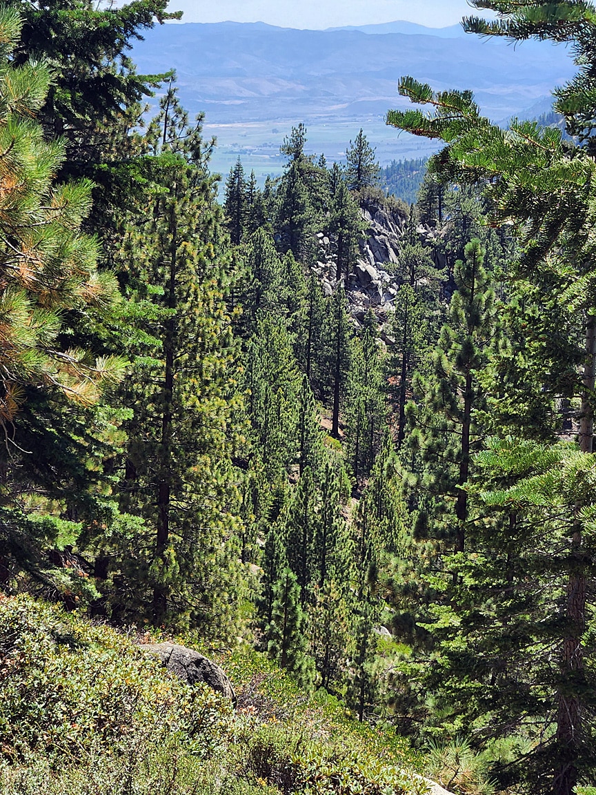 Week7-17