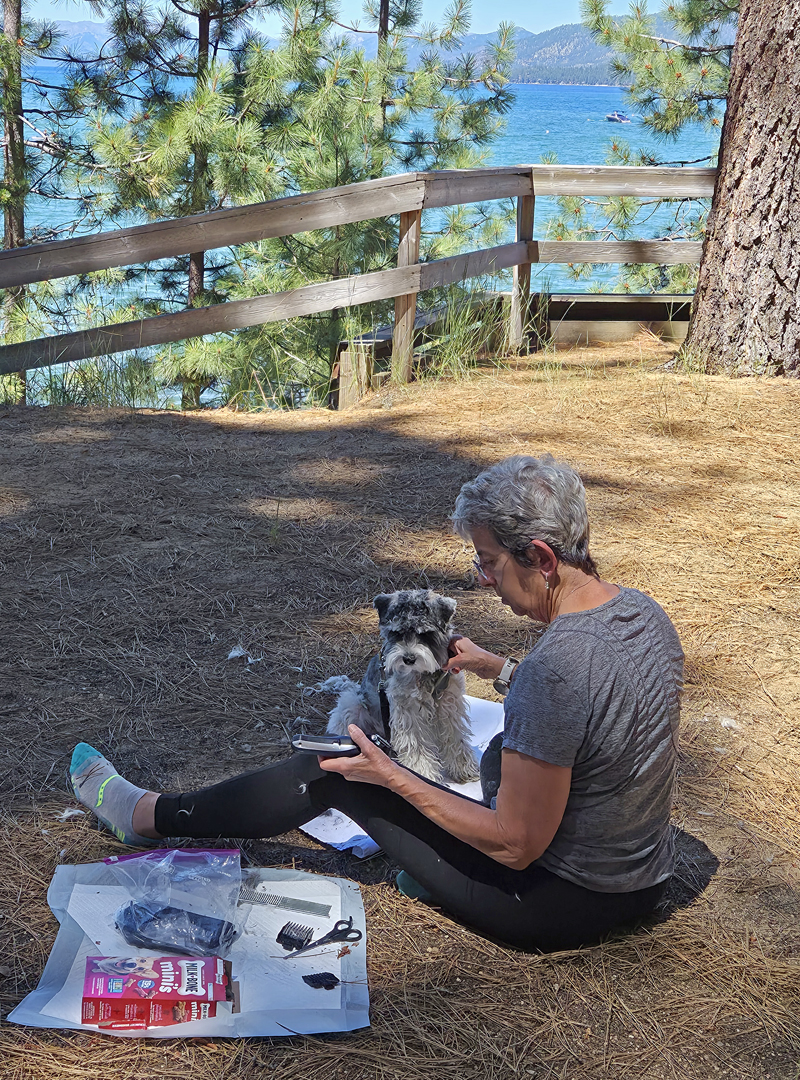 Tahoe 2026 Week4