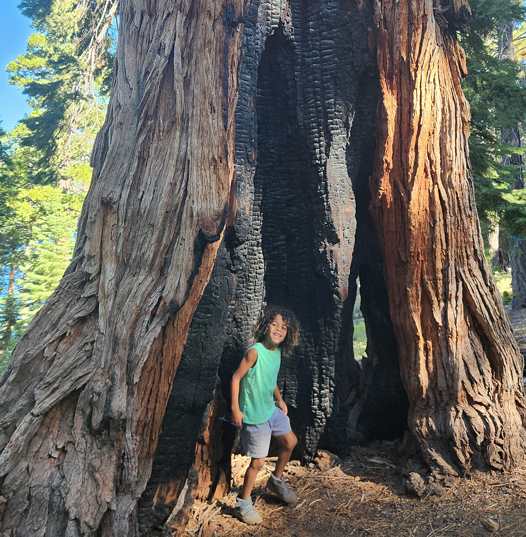 Tahoe 2026 Week7