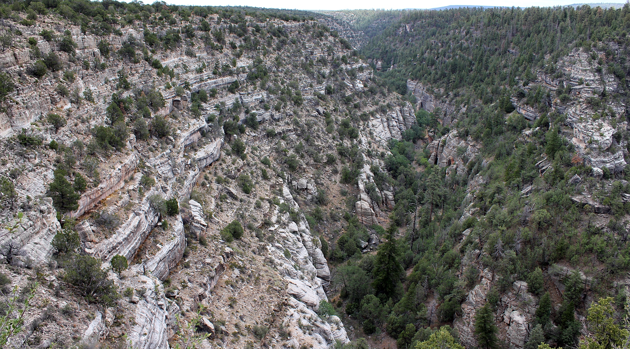 Walnut-Canyon-Featured